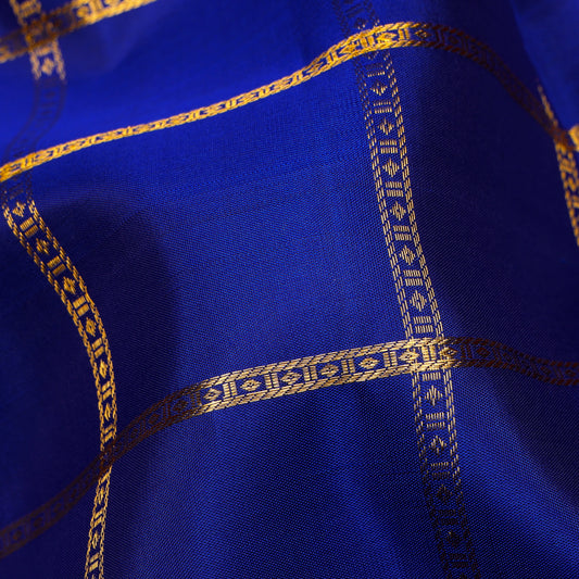 Neelambari Checked Kanchipuram Traditional Pure Silk Saree