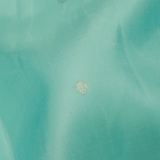 Pastel Aqua Blue and Cream Kanchipuram Vintage Silk Saree