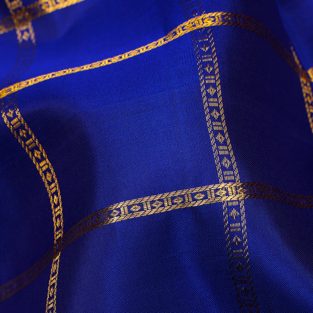 Neelambari Checked Kanchipuram Traditional Pure Silk Saree
