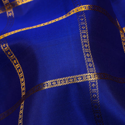 Neelambari Checked Kanchipuram Traditional Pure Silk Saree