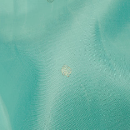 Pastel Aqua Blue and Cream Kanchipuram Vintage Silk Saree